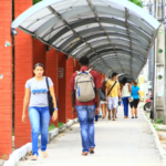 educação